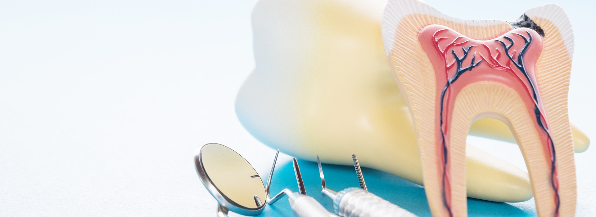 The image features a dental model with a toothbrush and dental floss, placed on a light blue background.